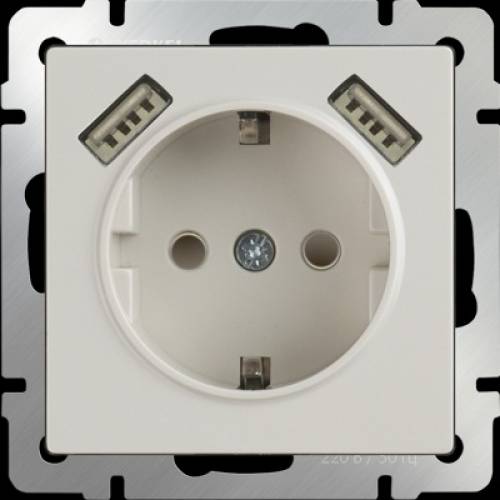 Розетка с заземлением шторками и USB х2