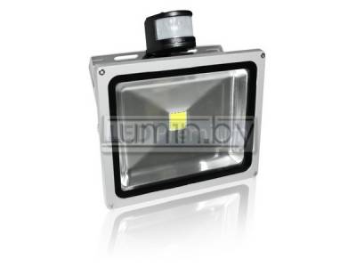 Светодиодный прожектор PIR-50W-CW 50W, 220V, IP65